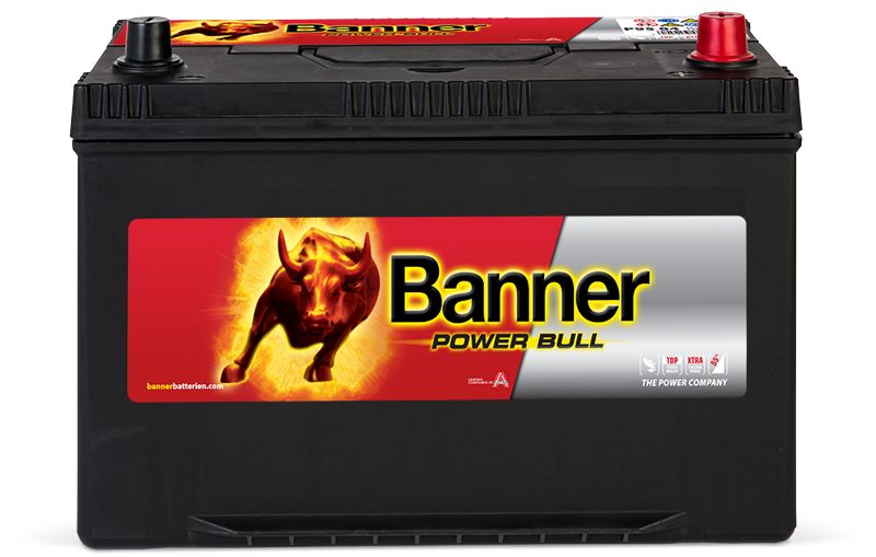 BATERIA BANNER  95AH 680A  (303X173X225 DTA