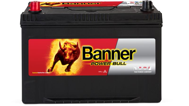 BATERIA BANNER 95AH 680A  (303X173X225 Esq) 